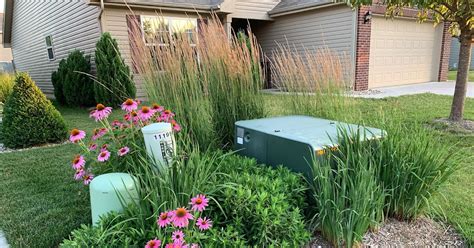 best plants to hide electrical boxes|hiding utility boxes around house.